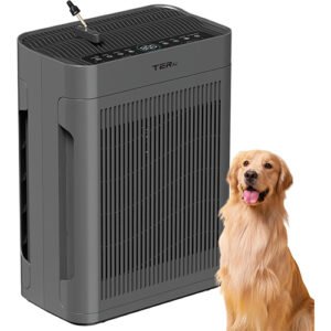 Air Purifiers