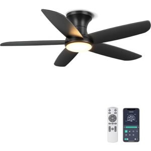 Ohniyou Ceiling Fan