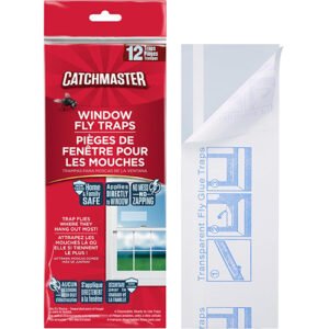 Window Fly Traps