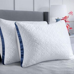 2 Bed Pillows