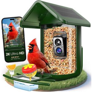 Bird Feeder