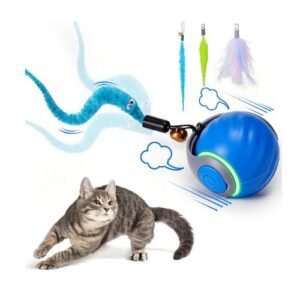 Cat Toy