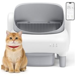 Cat Litter Box
